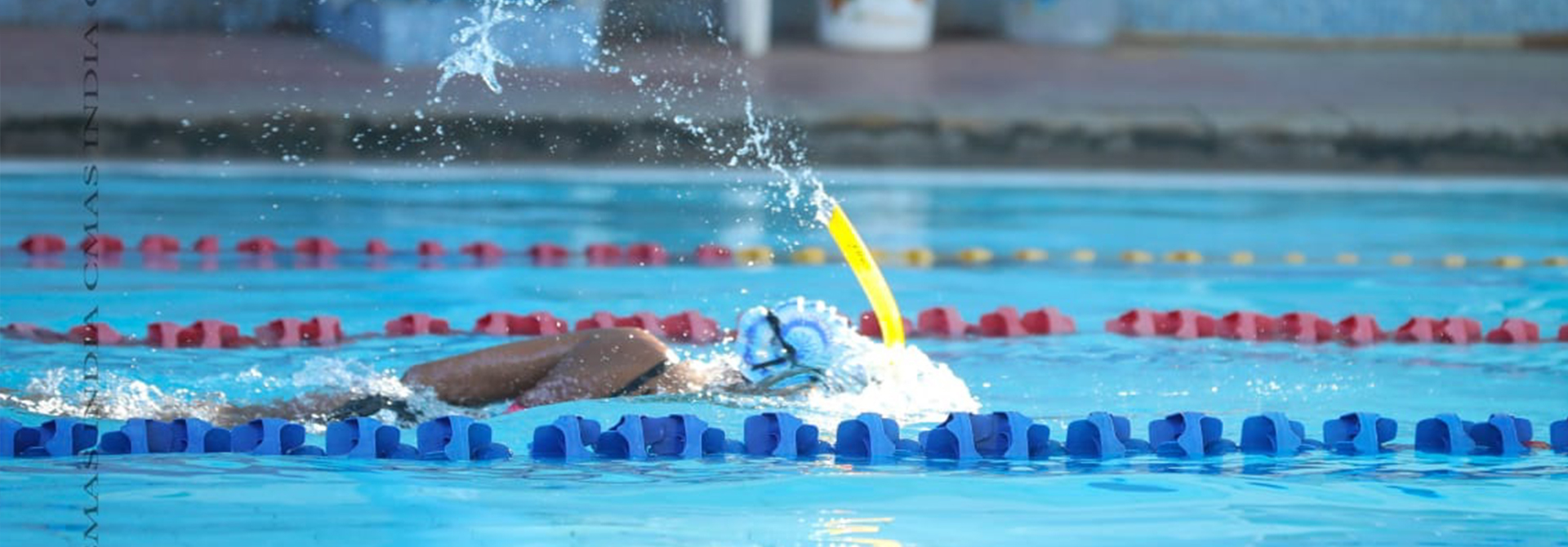 javascript photo gallery